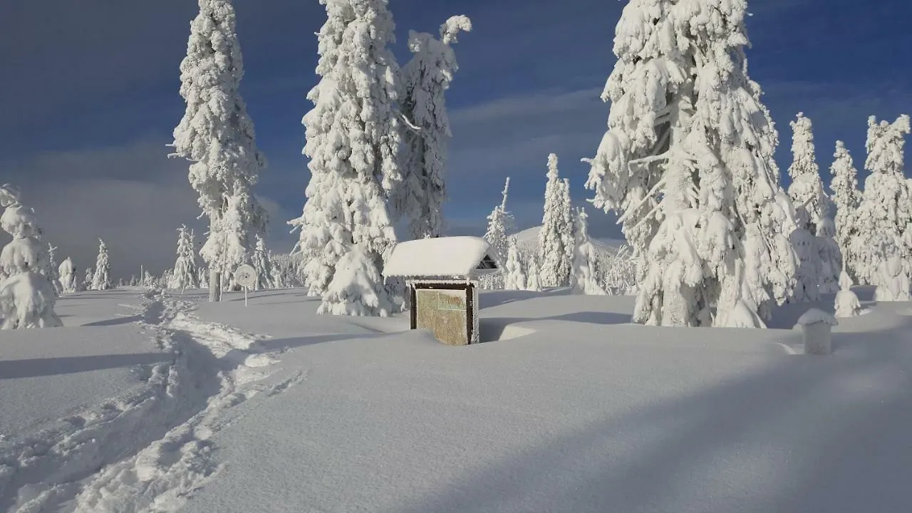 Apartman Medvedin 306 Spindleruv Mlyn